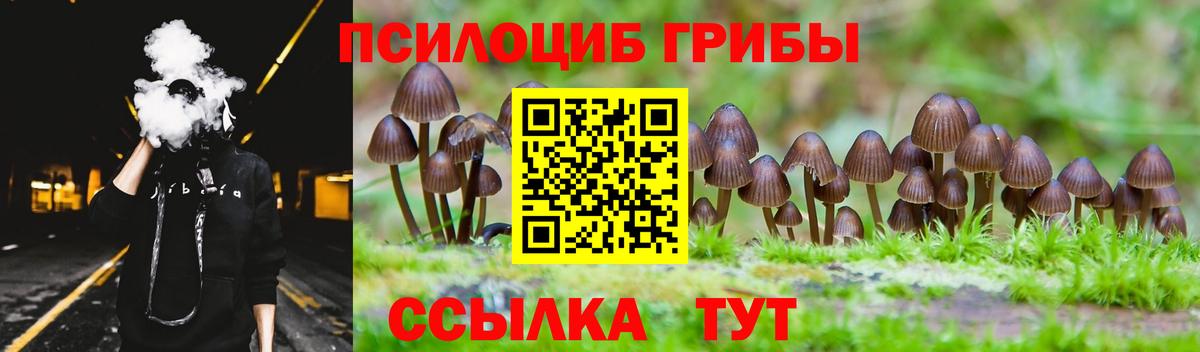 Галлюциногенные грибы мицелий  Псилоцибиновые грибы Cubensis  Вход с VPN  Саров 